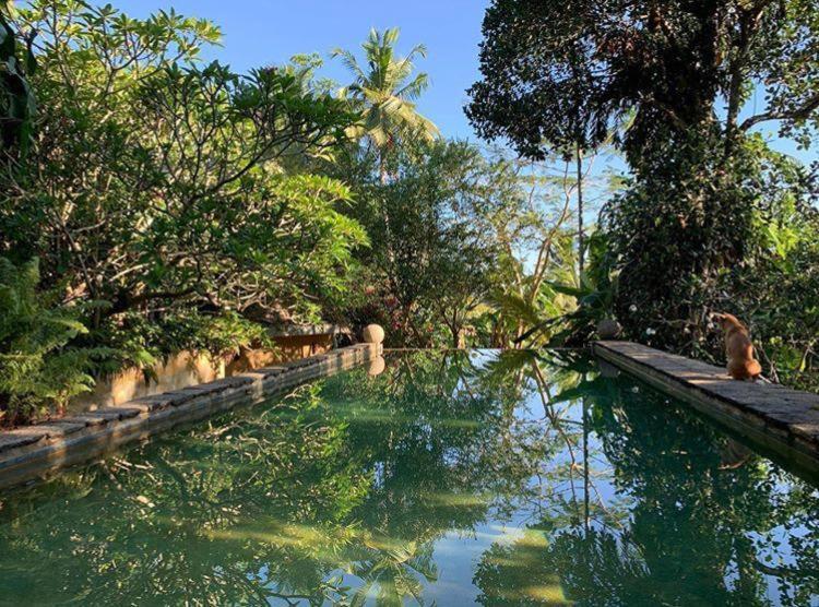 Sri Yoga Shala Bed & Breakfast อูนาวาตูนา ภายนอก รูปภาพ